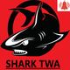 Shark TWA Trusted Web Activity
