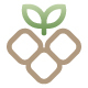 Square Nature Symbol Logo