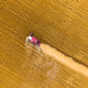 Aerial top view of combine harvester - PhotoDune Item for Sale