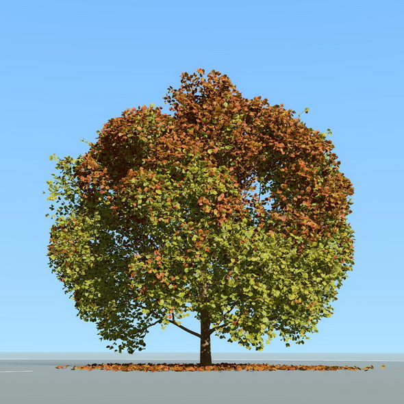 Big tree model - 3Docean 29074617