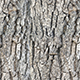 Tileable Wood Bark Texture