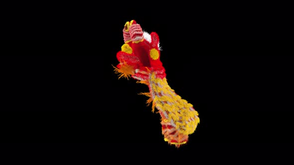 41 Chinese New Year Lion Dancing 4K alt