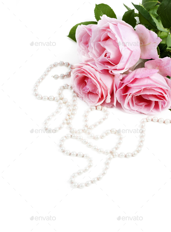 Roese and pearls - Stock Photo - Images