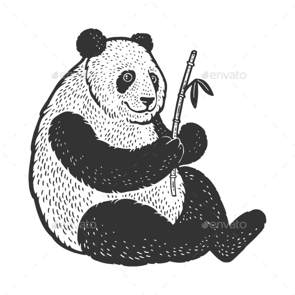 engrave isolated panda bear illustration sketch. linear art Imagens -  46498401