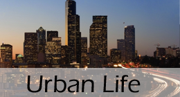 Urban life