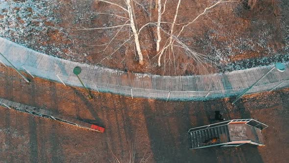 Trainer and His Dog Running alt