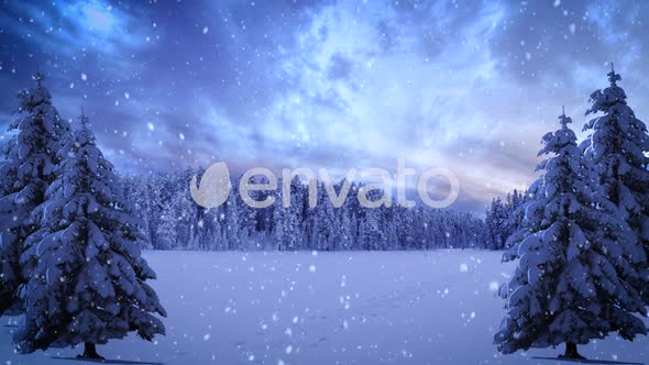 Snow Background