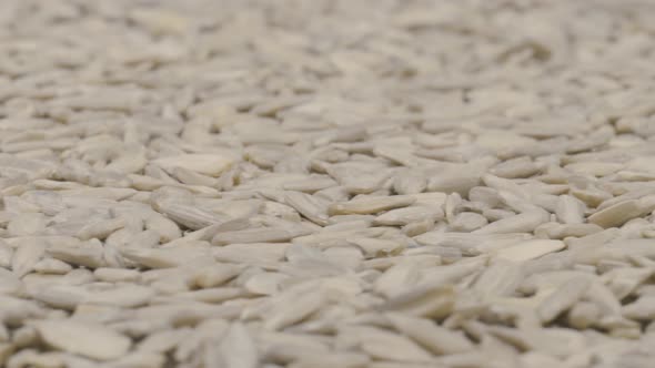 Sunflower Seeds Angled Rotation alt