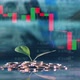 Multilayered Screen with a Plant on a Pile of Coins and Live Stock Charts - VideoHive Item for Sale
