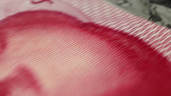 Foreign currency money exchange concept. Many banknotes of different nations. alt