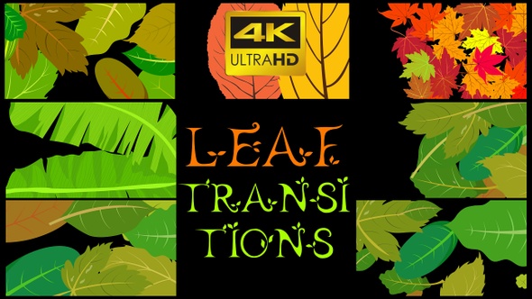 Leaf Transitions