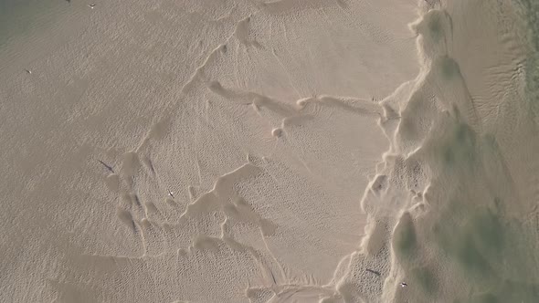 Aerial View of Birds Seen Flying in Wetlands