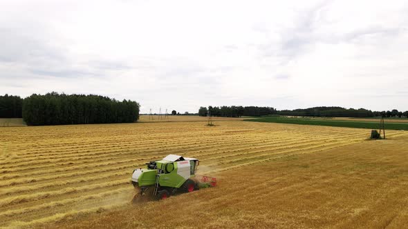 Drone View of a Modern Combine Harvester Reaping Wheat Near Forest