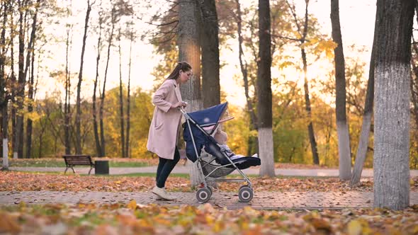 Slow motion of a young woman with a pram and a baby along an alley alt