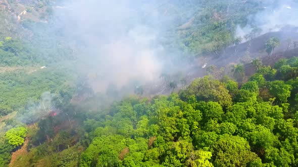 Aerial view towards a deforestation area, a forest wildfire fire in a jungle, smoking Amazon rainfor alt