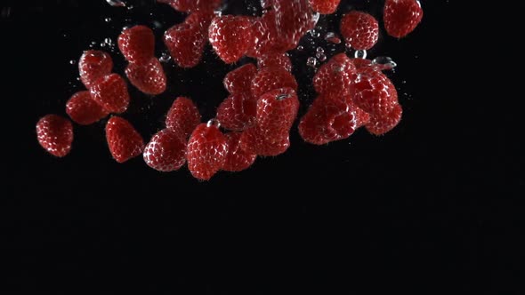 Ripe Raspberries Falling Into the Water on a Black Background