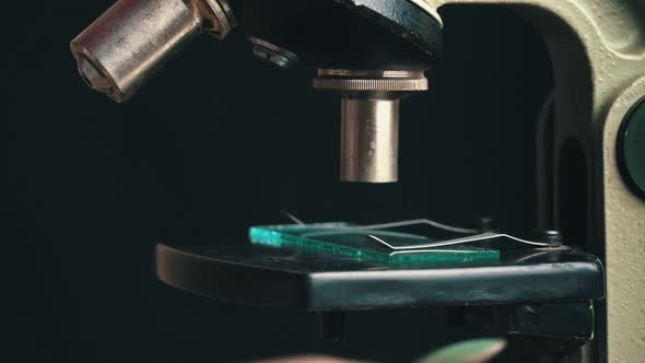 Microscope Glass and Magnifying Glass Rise Close Up alt