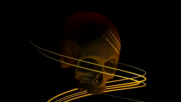 A Skull in Abstraction alt