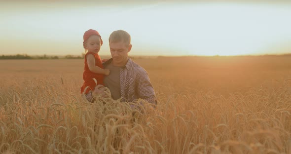 Dad and Little Daughter are Walking on a Wheat Field and Talking