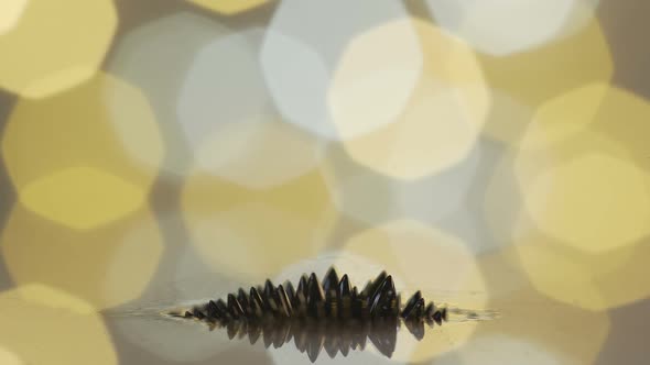 Ferrofluid Beautiful Colors and Fantastic Shapes