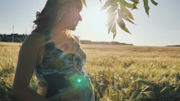 A Pregnant Young Woman Stands Next to a Wheat Field at Sunset alt