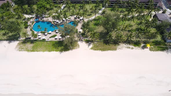 High angle view. The garden and the pool are full of coconut trees on the beach. alt