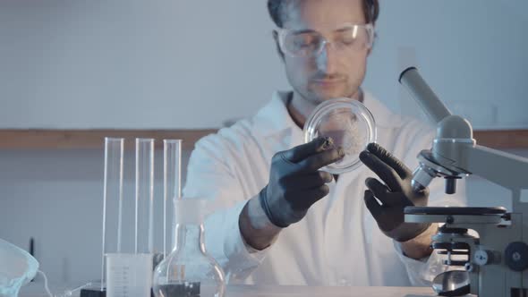 A Researcher in Protective Rubber Gloves and a Gown Examines a Part of a Plant in a Petri Dish alt