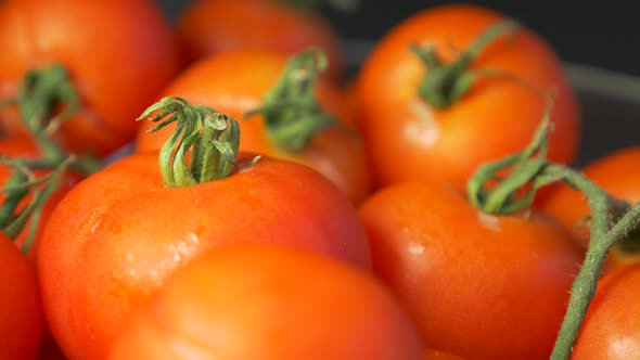 Tiny cherry tomatoes in glass bowl slow panning 4K 3840X2160 UHD footage - Cherry red  tomatoes in b alt