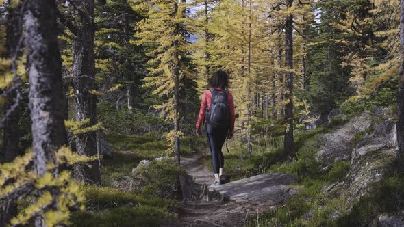 Adventurous Caucasian Woman Hiking on a Trail alt