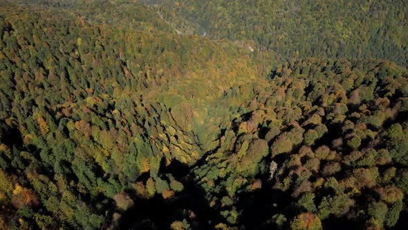 Exciting Aerial View on the Mountain Ridge Covered with Gorgeous Deep Forest in Autumn Season