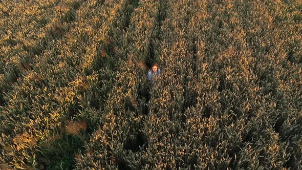 Aerial View Woman Sitting Among Wheat Field at Sunset or Sunrise Drone Shot alt