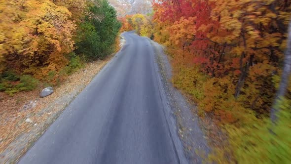 Flying over winding road past colorful trees in Autumn alt