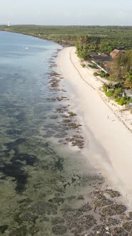 Vertical Video of the Beach on Zanzibar Island Tanzania alt