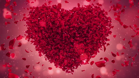 Red Rose Flower Falling Petals Love Heart Valentine Wedding Background Loop HD