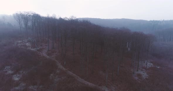Aerial view of Wiener Woods with morning mist, Biosphere Reserve alt