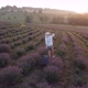 Drone Video of Free and Happy Young Woman Run in Pink and Purple Lavender Fields at Sunset - VideoHive Item for Sale