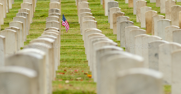 American flag planted in veterans cemetery Stock Photo by Mint_Images