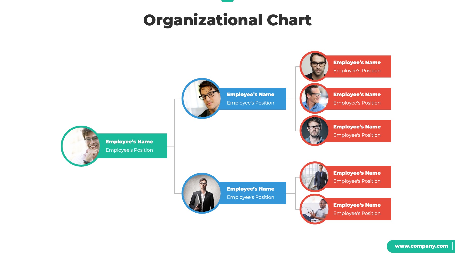 Organizational Chart and Hierarchy PowerPoint Template, Presentation ...