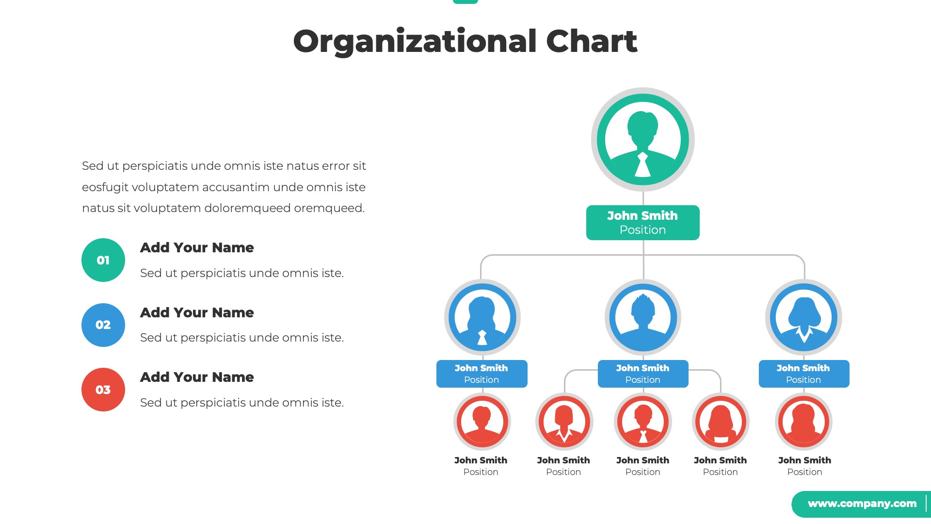 Organizational Chart and Hierarchy PowerPoint Template, Presentation ...