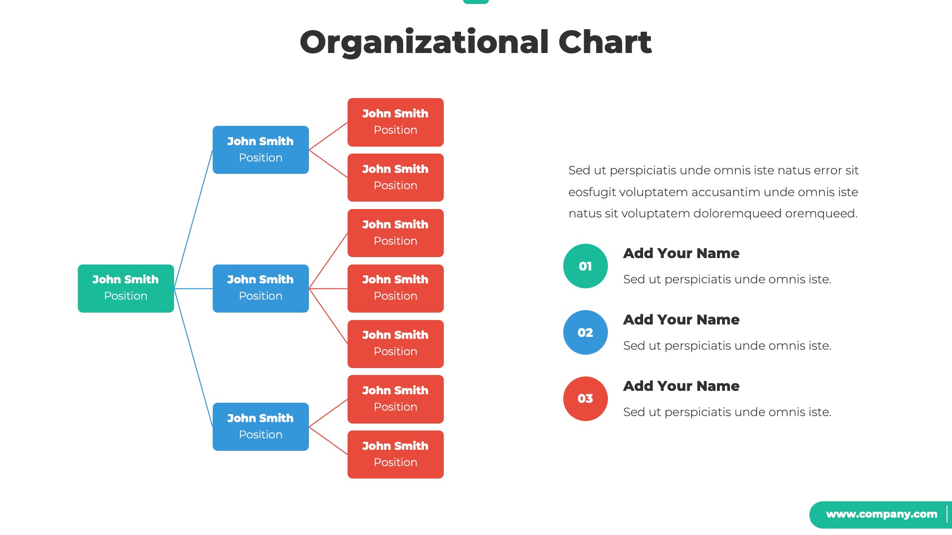 Organizational Chart and Hierarchy PowerPoint Template by Spriteit