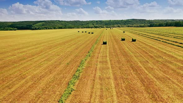 Flying over the field with many green bales on natural background alt