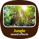 Jungle Ambience Sound Effects