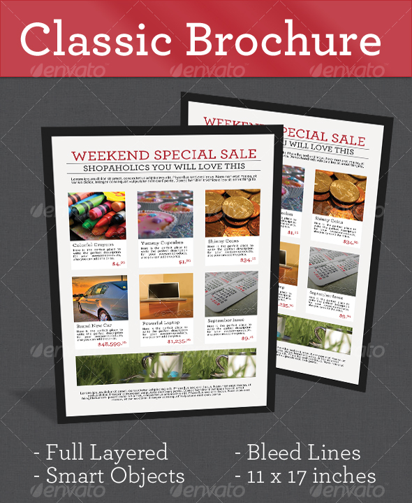 Classic Brochure - Corporate Brochures