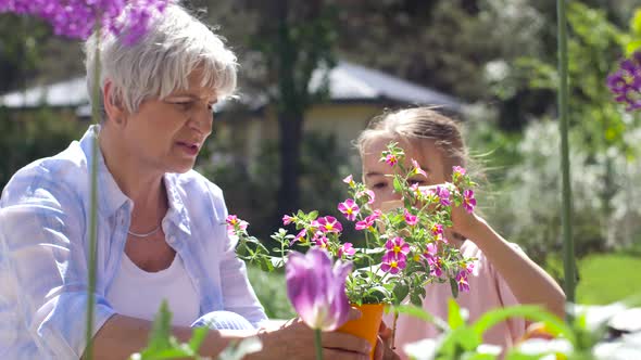 Grandmother and Girl Planting Flowers at Garden  alt