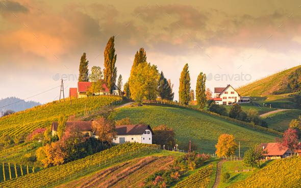 South Styria Vineyards Landscape, Tuscany Landscape Pictures