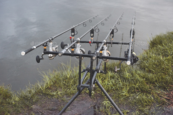 Carp fishing rods standing on special tripods. Expensive coils and a radio  system of crochet Stock Photo by mstandret