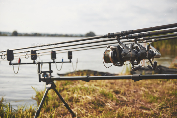 Carp fishing rods standing on special tripods. Expensive coils and