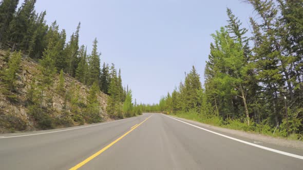 Car driving through alpine forest on Mount Evans-POV point of view alt
