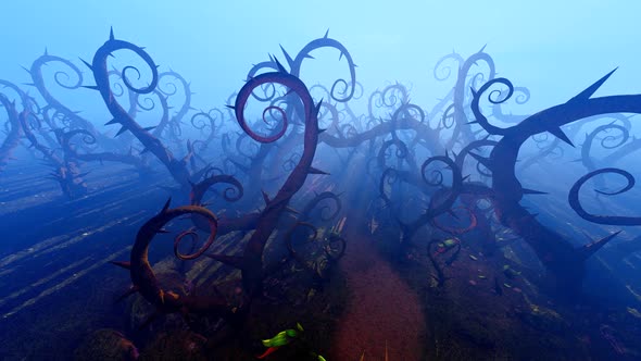 Panorama Of The Fairy Forest alt