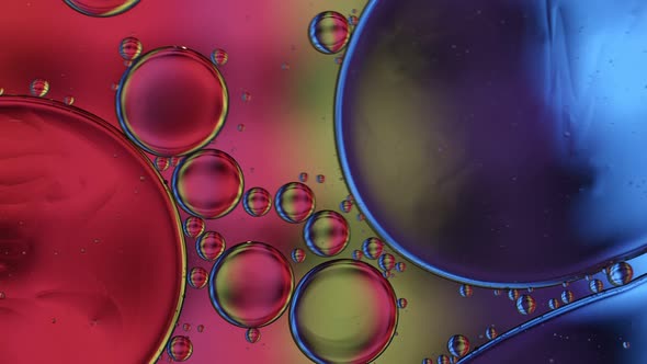 Abstract Colorful Food Oil Drops Bubbles 141 alt